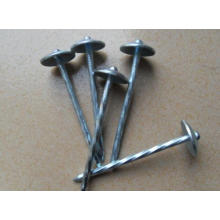 China Hersteller Hochwertige Umbrella Head Roofing Nails